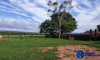 Imagem 4: Fazenda à Venda em Itarumã-GO 103 Alqueires Terra Plana