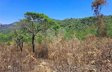Imagem 4: Terreno à venda em Remédios - SP