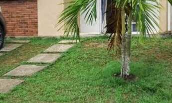 Imagem: Aluguel de casa