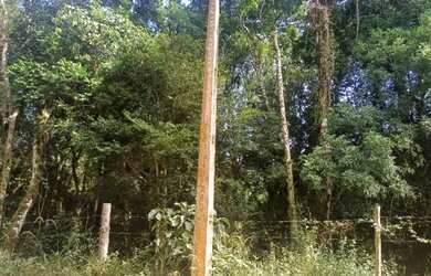 Imagem 7: Terreno 1000m2 em ibiuna