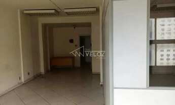 Imagem 4: Apartamento - / Residencial / Centro