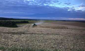 Imagem 4: Vende se Linda Fazenda 95,19 alqueires