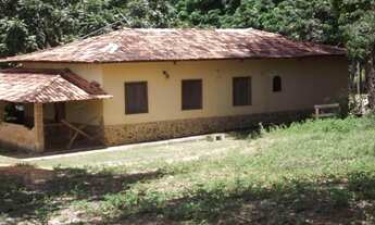 Imagem: Linda fazendinha de 5,6 hectares as margens
