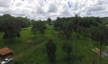 Imagem 3: Linda fazendinha de 5,6 hectares as margens do Rio,Jaboticatubas (Temos varias opções)