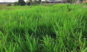 Imagem 5: Fazenda Fazenda / sítio com venda por R$1.200.000