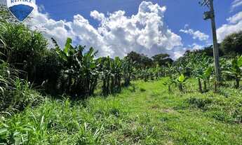 Imagem: Sítio à venda, 31300 m² com produção