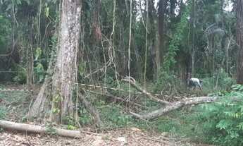 Imagem 6: Terreno em Ubatumirim