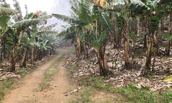 Imagem 2: Chácara para Venda em Schroeder, Schroeder III