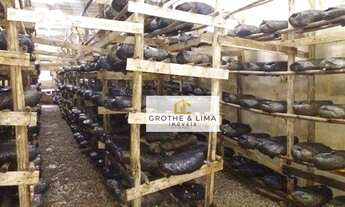 Imagem 7: Chácara com 2 dormitórios à venda, 22000 m² por R$ 902.000,00 - Buquirinha - São José dos