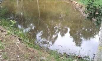 Imagem 4: Chácara com 3 dormitórios à venda, 7500 m² por R$ 690.000,00 - Zona Rural - Morungaba/SP