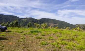 Imagem 5: Lote/Terreno para venda com 10000 metros quadrados em Jardim Japão (Caucaia do Alto) - Cot