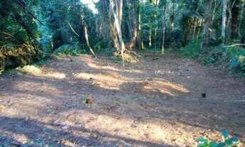 Imagem 2: Terreno em Ubatumirim