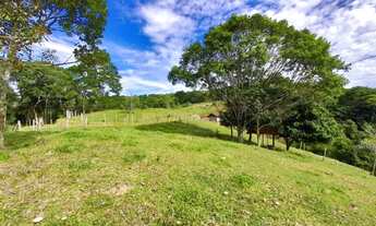 Imagem 5: Sítio para Venda em São José, Colônia Santana