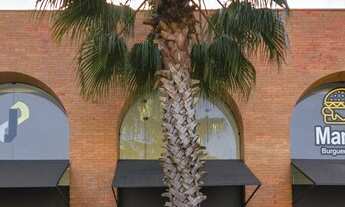 Imagem 4: Sala comercial com 84 metros quadrados no Centro - Passo de Torres - SC