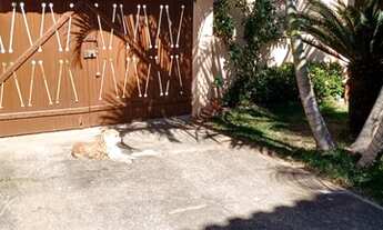 Imagem 5: Casa para venda com 4 quartos em Unamar (Tamoios) - Cabo Frio - RJ