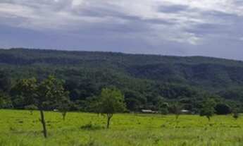 Imagem 3: VENDO FAZENDA 30 KM DE BALSAS MA