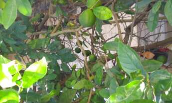 Imagem 5: Venda de imóvel