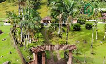 Imagem 2: Sítio com 6 dormitórios à venda, 244000 m² por R$ 2.500.000,00 - Progresso - Blumenau/SC