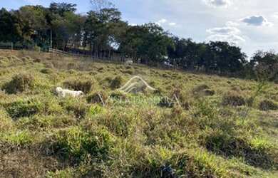 Imagem 7: Em Barreiras - Brumadinho