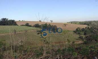 Imagem 4: LINDA ÁREA RURAL EM RIO CLARO NO BAIRRO CAMPO DO COXO!