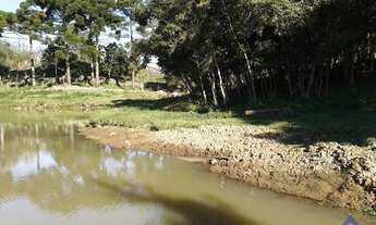 Imagem 4: TERRAS EM LORETO