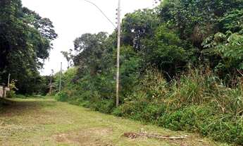 Imagem 2: Terreno 482 m² - escritura registrada cartório -Garça Vermelha - Peruíbe/SP - Aceita Troca