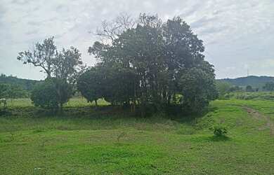 Imagem 4: Terreno de 180.000 metros quadrados na cidade de Luiz Alves SC