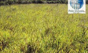 Imagem 4: Sítio 11 Alq. paulista, Para Café, Milho, Soja - Jacuí MG