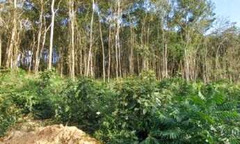 Imagem: 32 Grande Oportunidade de Terrenos em Ibiúna-SP