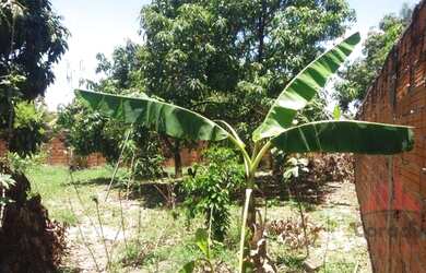 Imagem 4: Chácara com 2 dormitórios à venda, 1275 m² por R$ 350.000,00 - Chácara Recreio Cruzeiro do