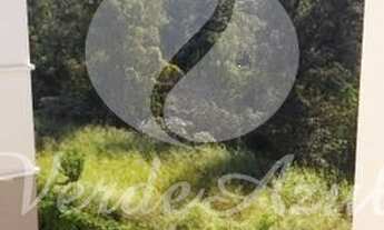 Imagem 3: Apartamento - Vila Marieta - Campinas