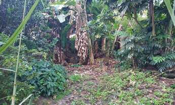 Imagem 5: Vendo uma coisa na Vila Tibiri