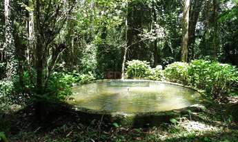 Imagem 6: Sítio com 3 dormitórios à venda, 128000 m² por R$ 1.600.000,00 - Centro - São Francisco Xa