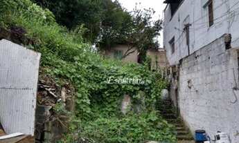 Imagem 2: Terreno à venda, 323 m² por R$ 800.000,00 - Vila Maria Alta - São Paulo/SP