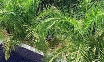 Imagem 4: Casa com 4 suítes à venda, 558 m² por R$ 3.400.000 - Gênesis 1 - Santana de Parnaíba/SP