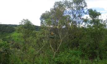 Imagem 3: Venda Residential / Land Lot Nova Lima MG