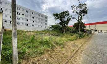 Imagem 3: BIGUAçU - Terreno Padrão - Bom Viver