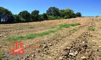 Imagem: CAXIAS DO SUL - Terreno Padrão - São Luiz