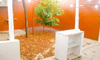 Imagem 4: Casa para venda com 158 metros quadrados com 4 quartos em Coroado - Manaus -Amazonas