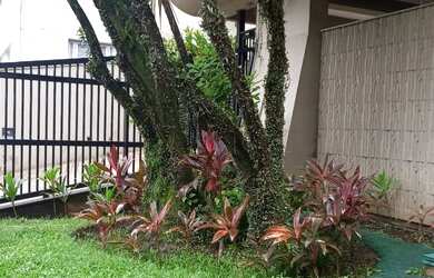 Imagem 3: Apartamento para Venda em São Vicente/SP