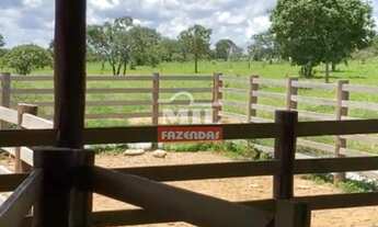 Imagem 5: Fazenda 303 alqueires (1467 hectares) Vila Propício-GO