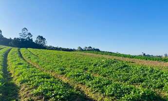 Imagem 5: Terrenos com Vista Excelente e fica na beira do Asfalto Ibiúna SP