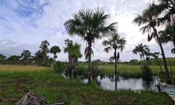 Imagem 2: Vendo sítio Chácara com venda por R$28.000