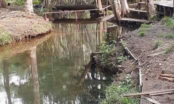 Imagem 3: Sítio rural a venda