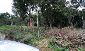 Imagem: Área de chácara com 1950 metros quadrados