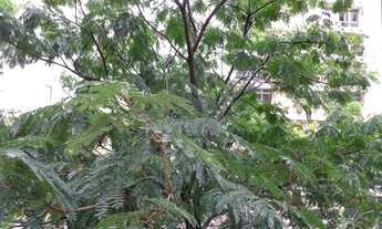 Imagem 2: Apartamento residencial à venda, Icaraí, Niterói