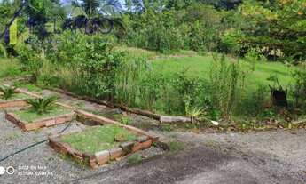 Imagem 3: Blumenau - Sítio - Velha Central