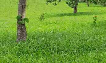 Imagem 2: Fazendas Terreno / lote com venda por R$259.000