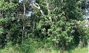 Imagem 4: Terreno à venda no bairro Fazenda Capelinha - Mogi das Cruzes/SP