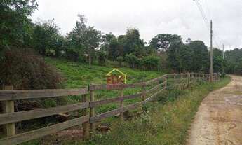 Imagem 4: Área à venda, 3950 m² por R$ 100.000,00 - Roseira - Roseira/SP